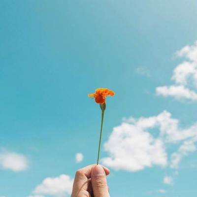 皇冠登录入口welcome